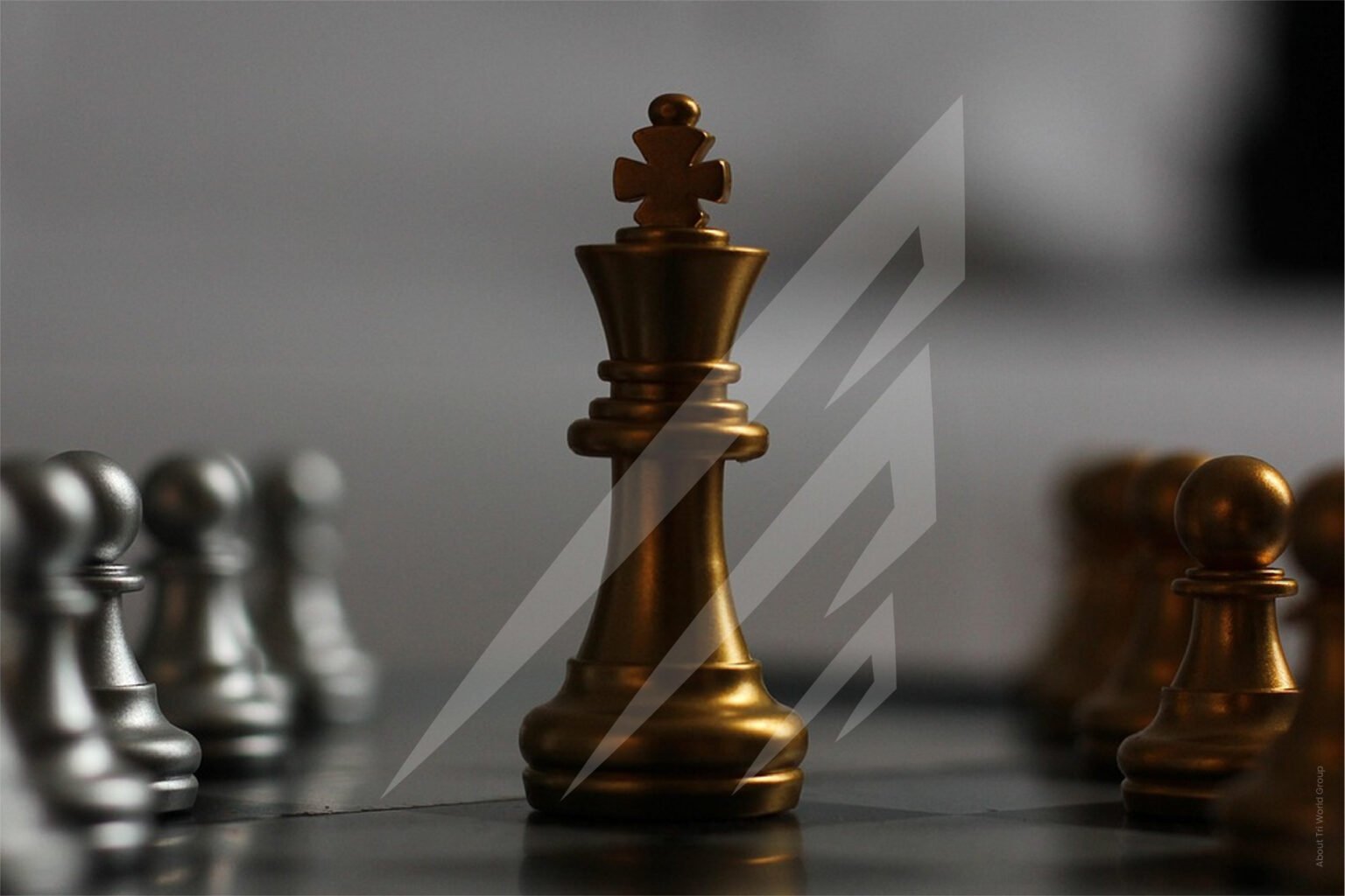 Tri world Group | Real Estate & Property Management Company in Kerala